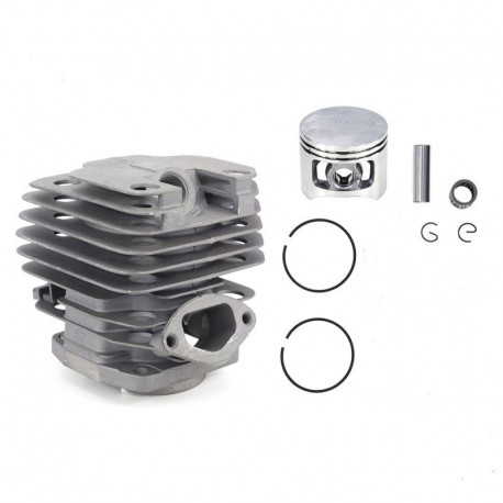 Цилиндр с поршнем Taiga Professional 52002