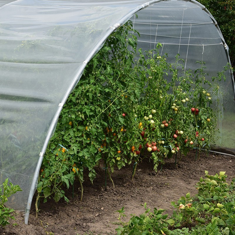 Теплица профессионального садовода Деметра Италия, 27м2,...